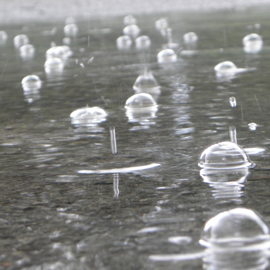 Rain Bubbles